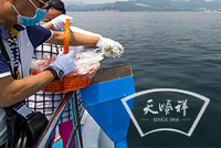 天顺祥海撒实录
