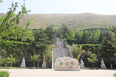 墓地是平地上的好还是安葬在山上的好呢？