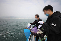 海葬好还是土葬好？骨灰海撒是怎么处理的？在北京海葬花多少钱？