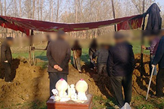 清明节迁坟可以吗？清明节迁坟还需要看日子吗？迁坟做哪些准备？
