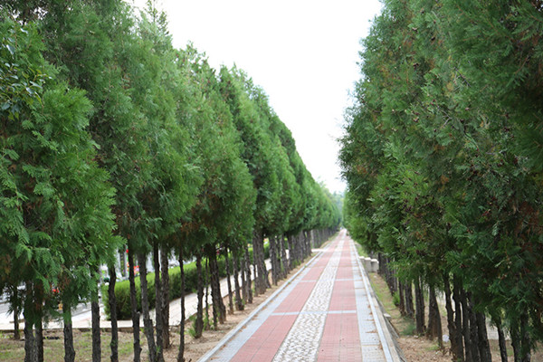 中华永久陵园地址在哪里？中华永久陵园位置怎么样？