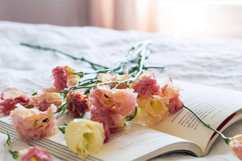 北京哪家白事公司能办理追思服务?追思会流程是怎样的