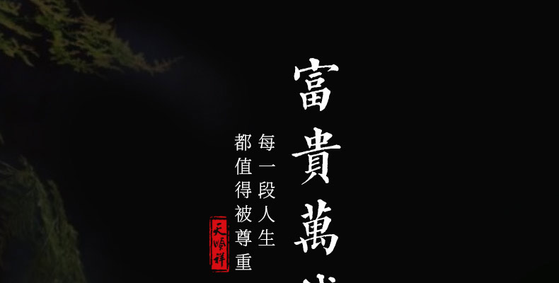 非洲小黑檀-富贵万代_03.jpg
