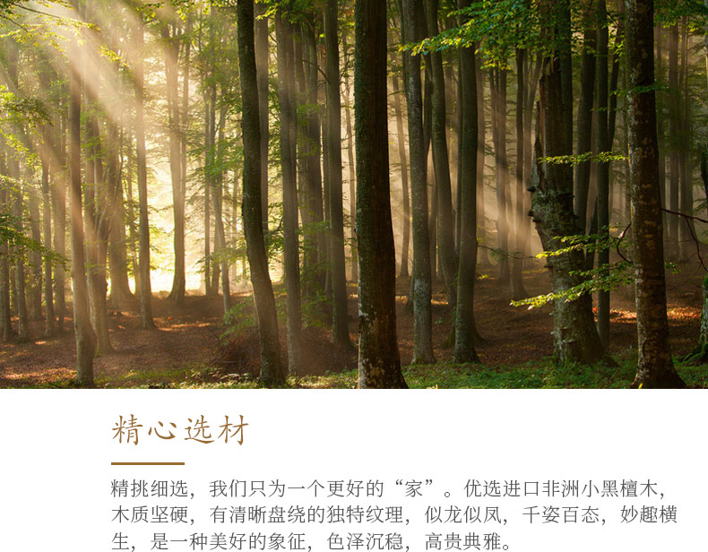 非洲小黑檀-富贵万代_26.jpg