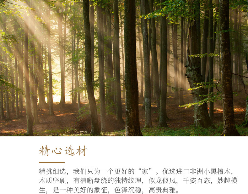 非洲小黑檀-鹤园_26.jpg