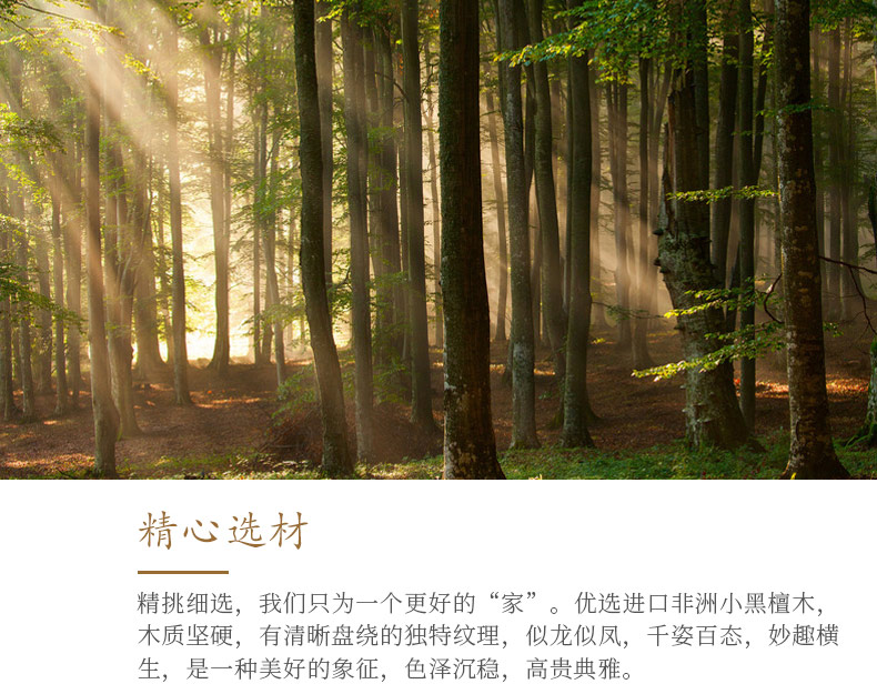 非洲小黑檀-龙宫_26.jpg