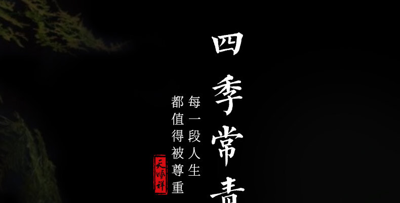 非洲小黑檀-四季常青_03.jpg