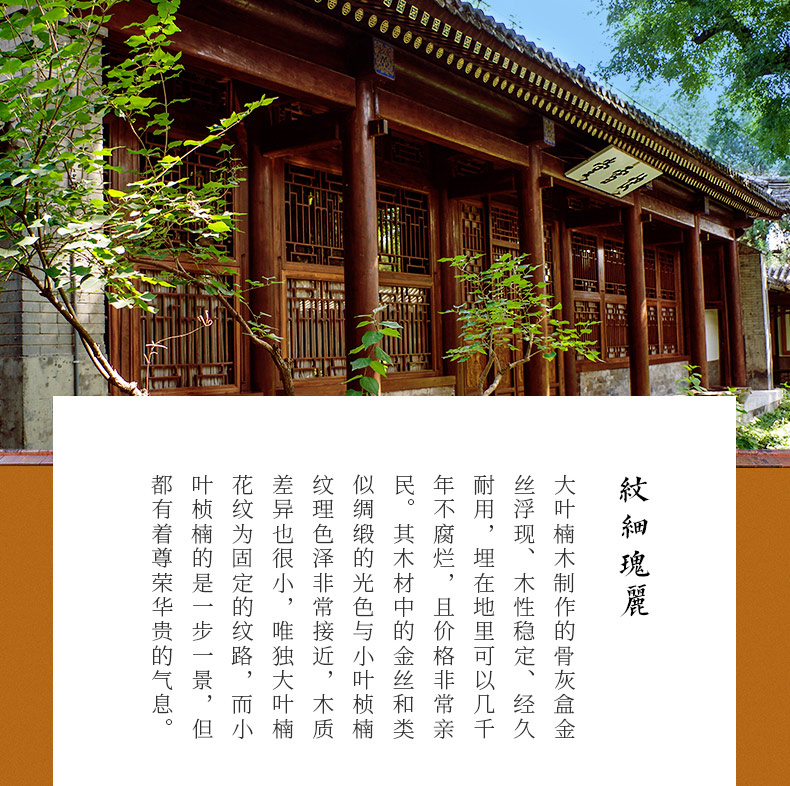 缅怀大叶楠_01.jpg