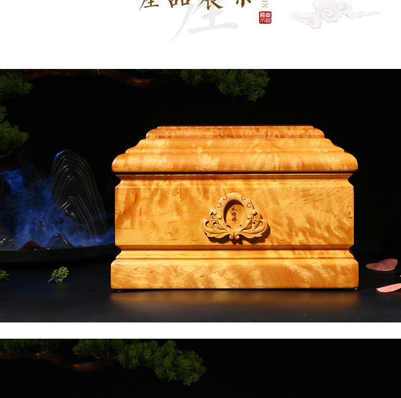 缅怀大叶楠_05.jpg