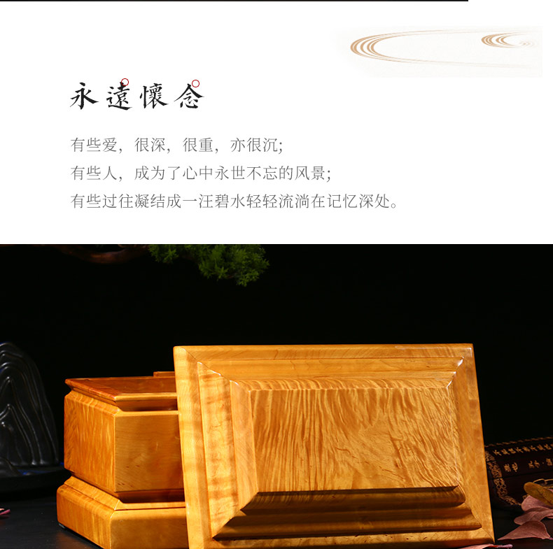 缅怀大叶楠_08.jpg