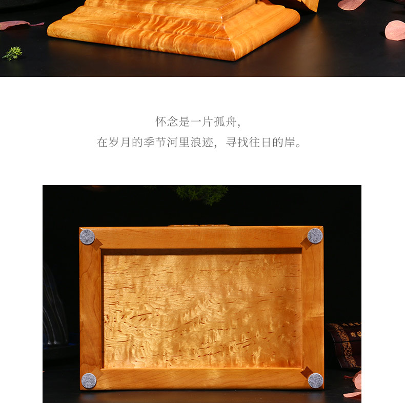 缅怀大叶楠_10.jpg