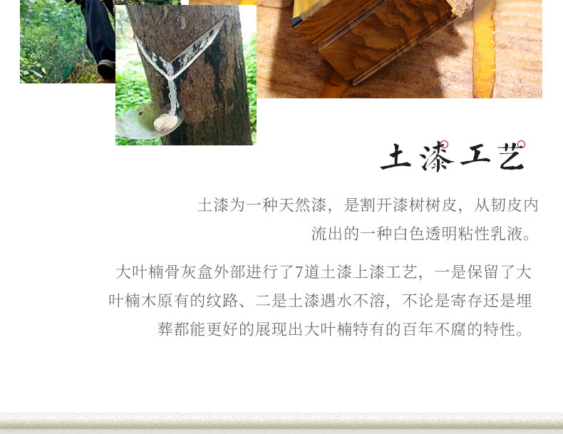 缅怀大叶楠_20.jpg