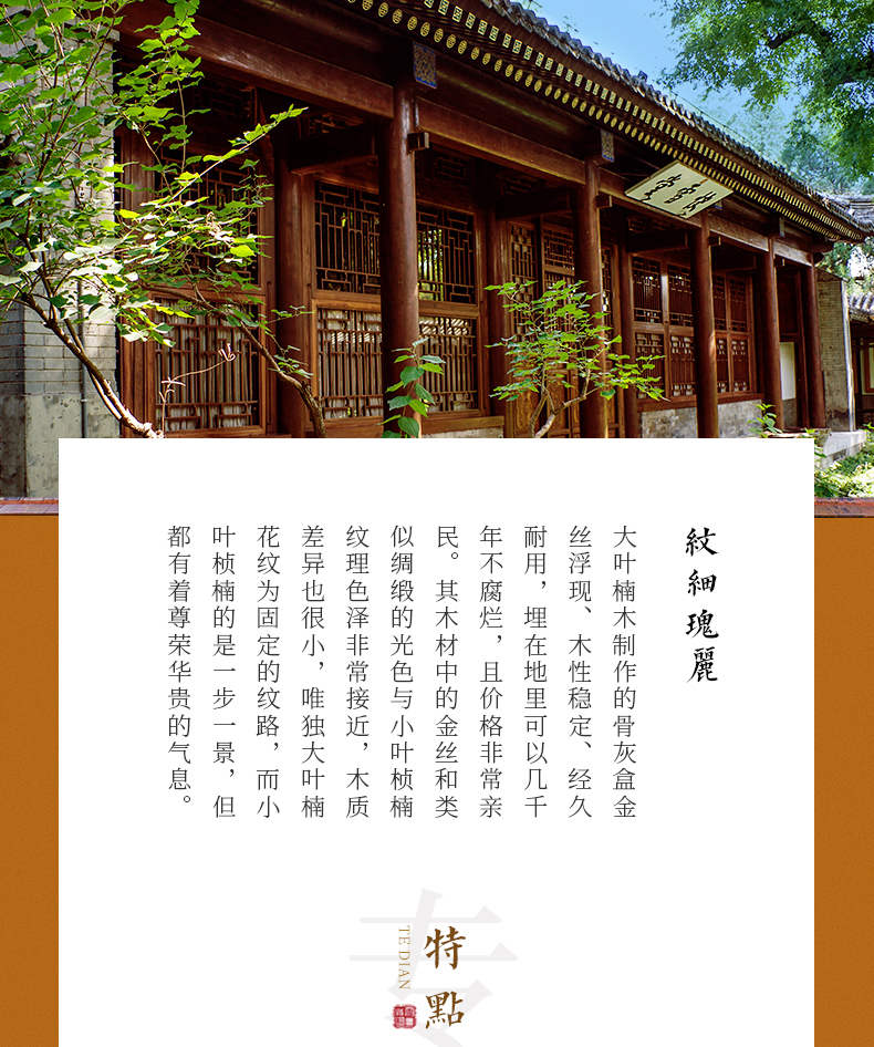 平安大叶楠_01.jpg