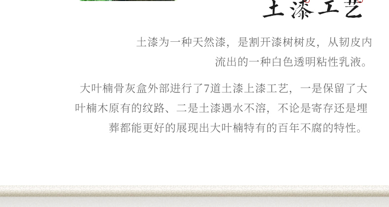 平安大叶楠_17.jpg