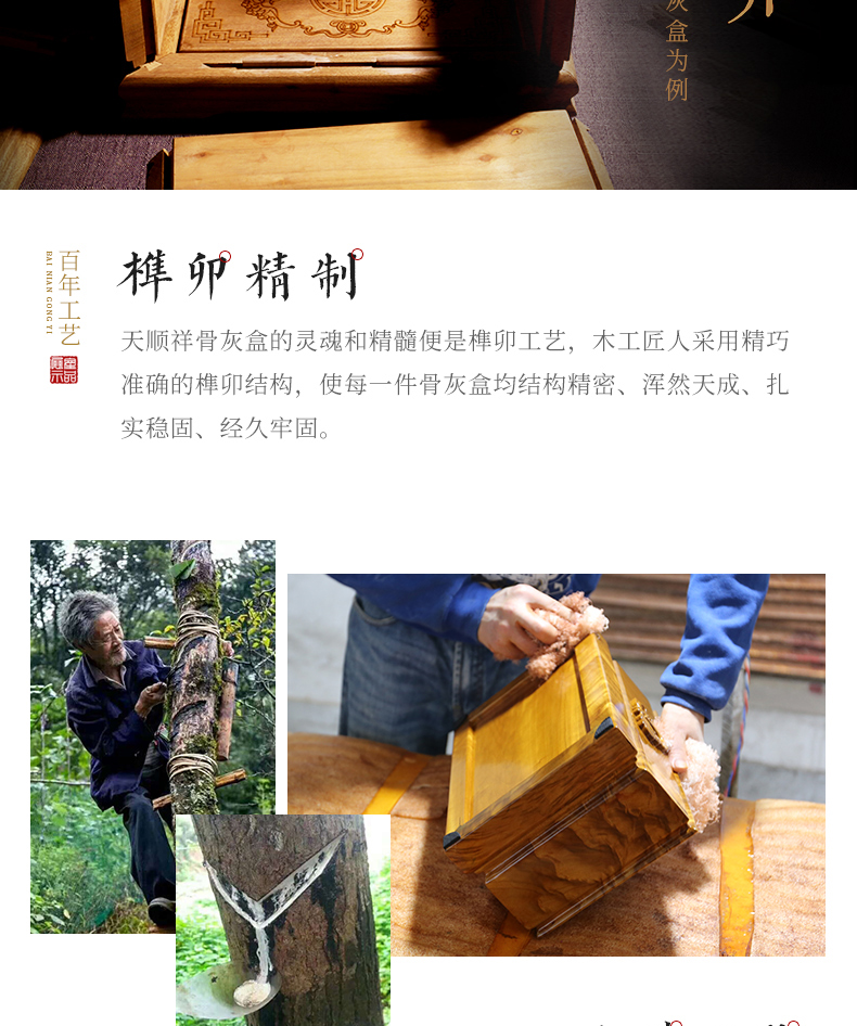 思念大叶楠_16.jpg