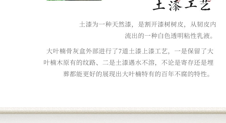 思念大叶楠_17.jpg
