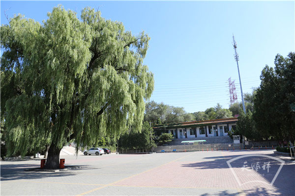 道路环境