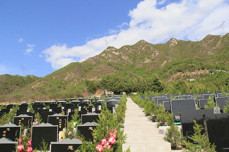 山上墓碑展示