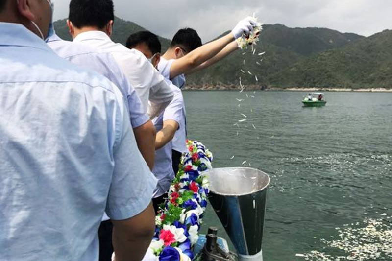 骨灰伴花瓣