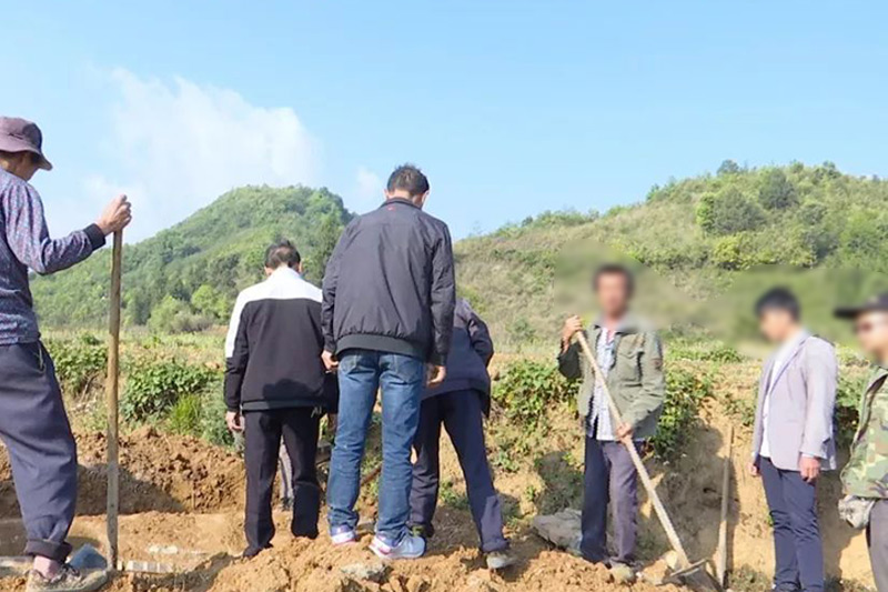 迁坟挖掘