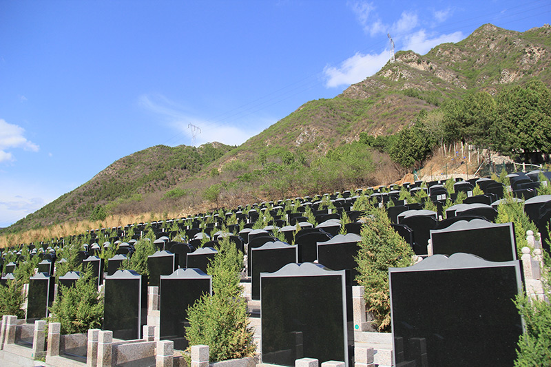 墓区待刻字墓碑