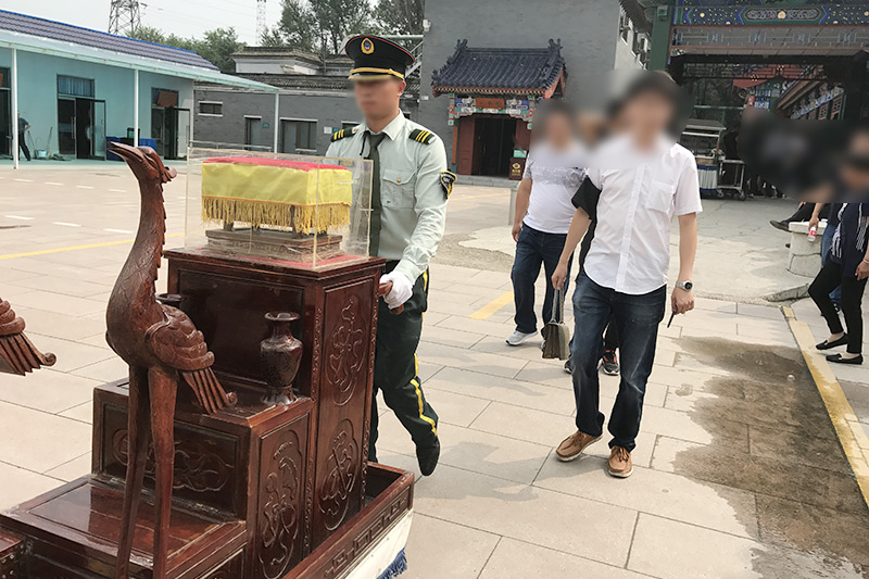 引导员引导前往骨灰堂