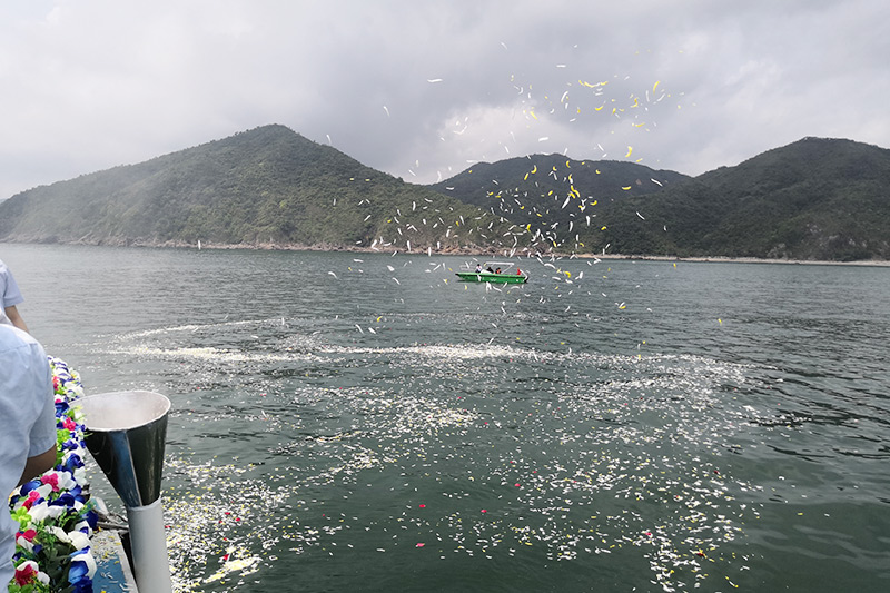 骨灰海撒拌花