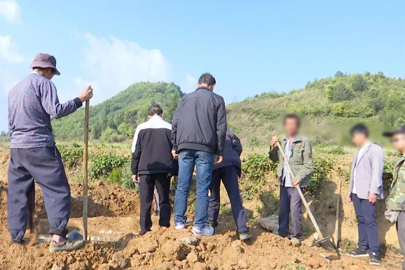 迁坟动土现场
