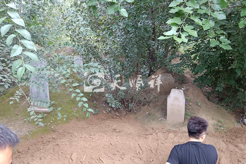 迁坟动土