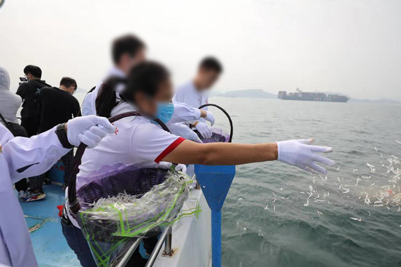 骨灰海撒现场