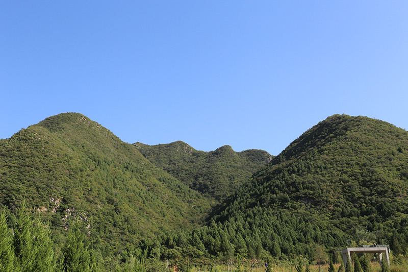 十三陵景仰园风水宝地
