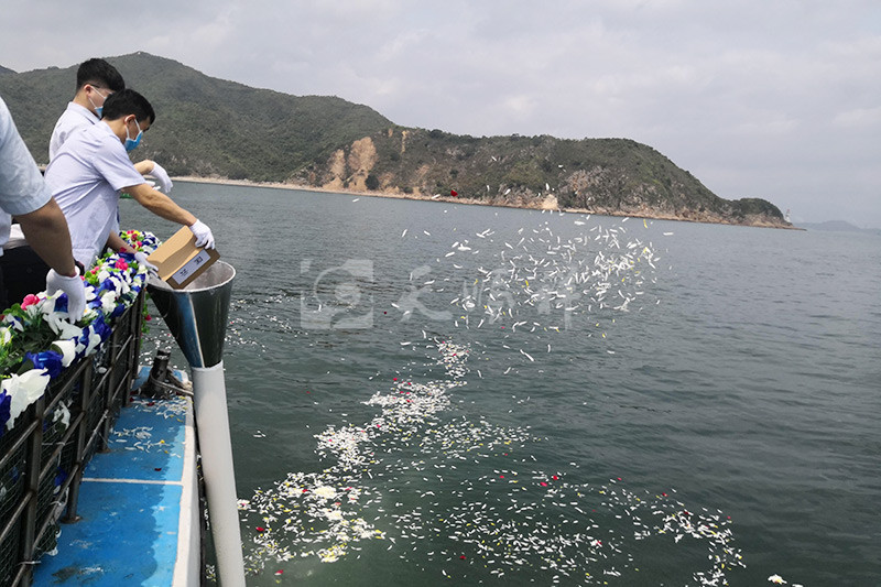 骨灰海撒现场