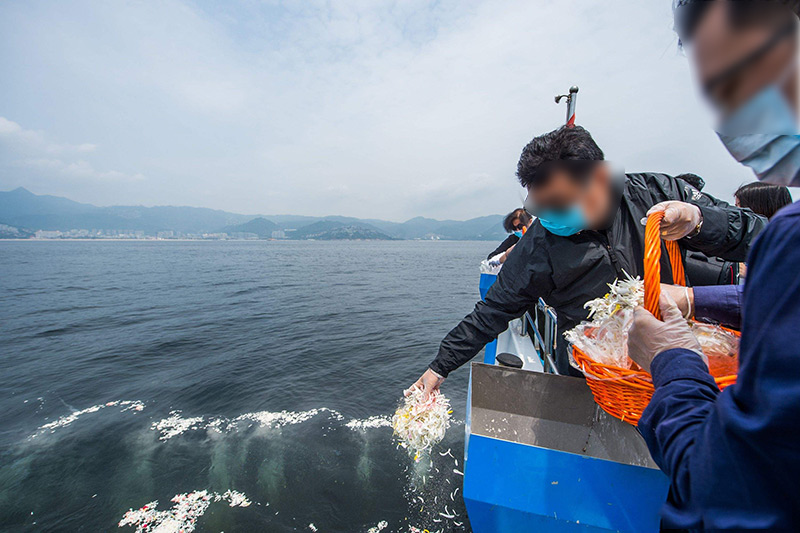 骨灰海撒现场