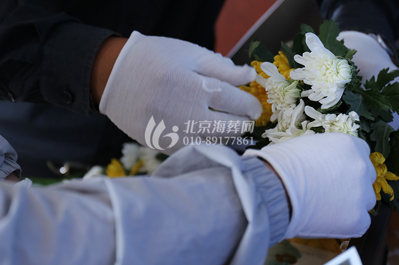海葬鲜花准备