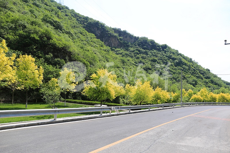 园区道路