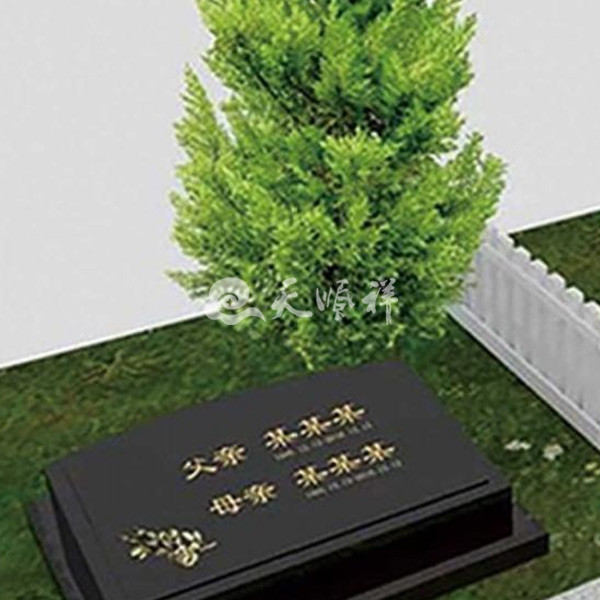 义兴苑生态树葬