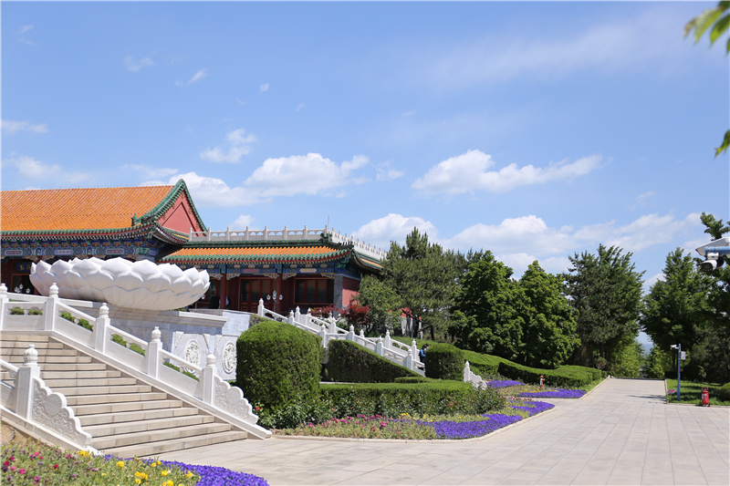 陵园环境