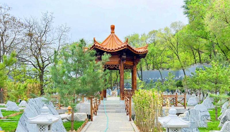 陵园环境