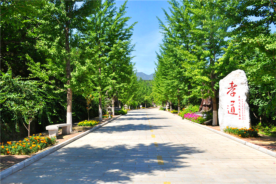 陵园道路风景 陵园道路风景