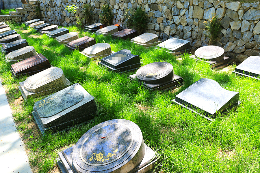 墓区环境 墓区环境