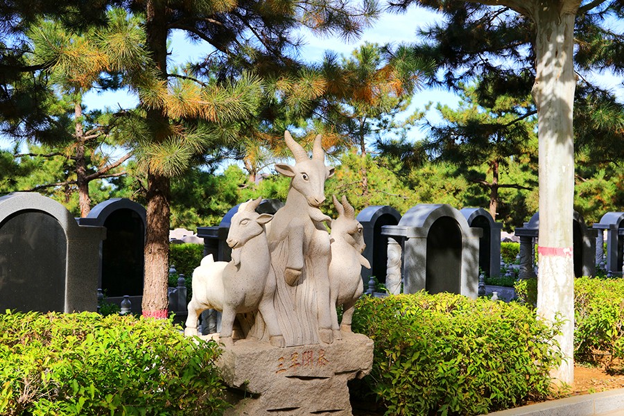 陵园墓区环境 陵园墓区环境