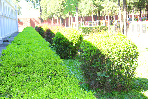 在北京朝阳平房东郊殡仪馆火化收费多少钱？附近墓地有哪些？