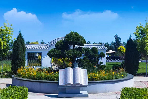 清颐园绿化实拍