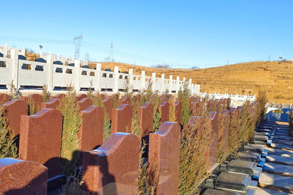 万福园印度红墓区