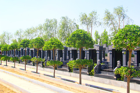 2026北京周边优质墓地推荐：专车接送、性价比高,购墓咨询400-065-1908