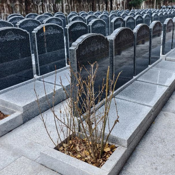 福泽园西六B区立碑