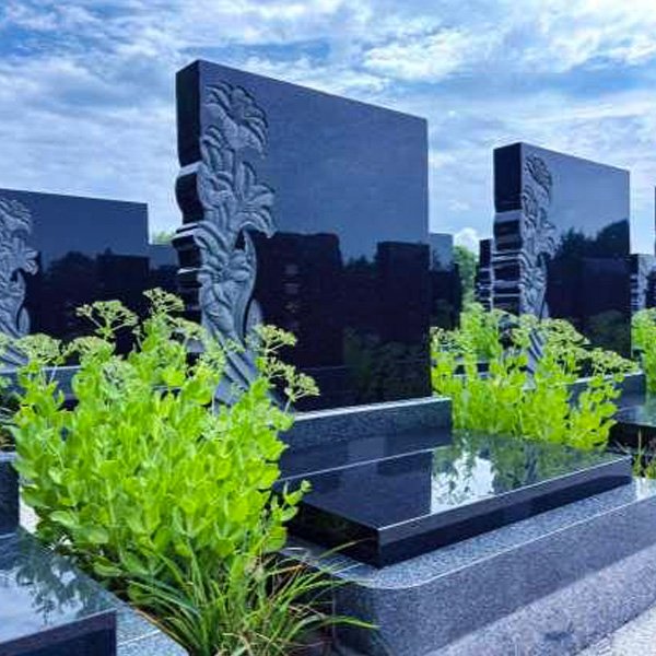 中华2号园E甲区合韵