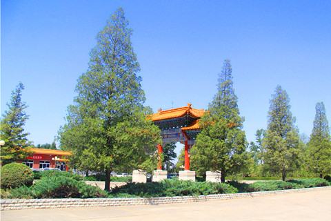 清明前后中华永久陵园价格有浮动吗？盘点今天最新价格参考