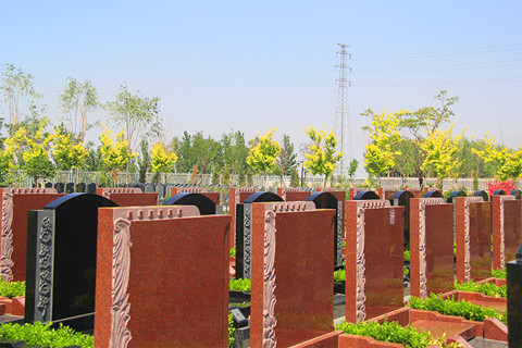 大兴、丰台、房山家属选树葬,哪里最合适？清颐园6800元树葬深度解析