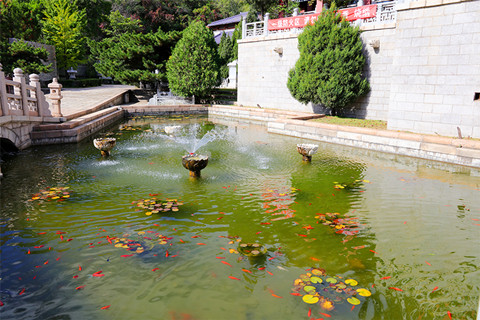 是北京天顺祥家吗,想选树葬和壁葬墓地哪里好？